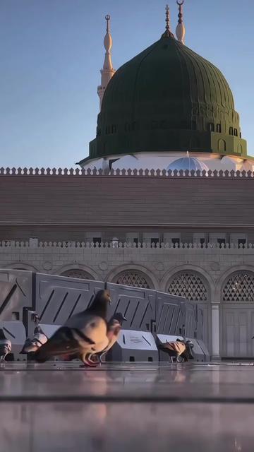@madna 🕋🕋🕋