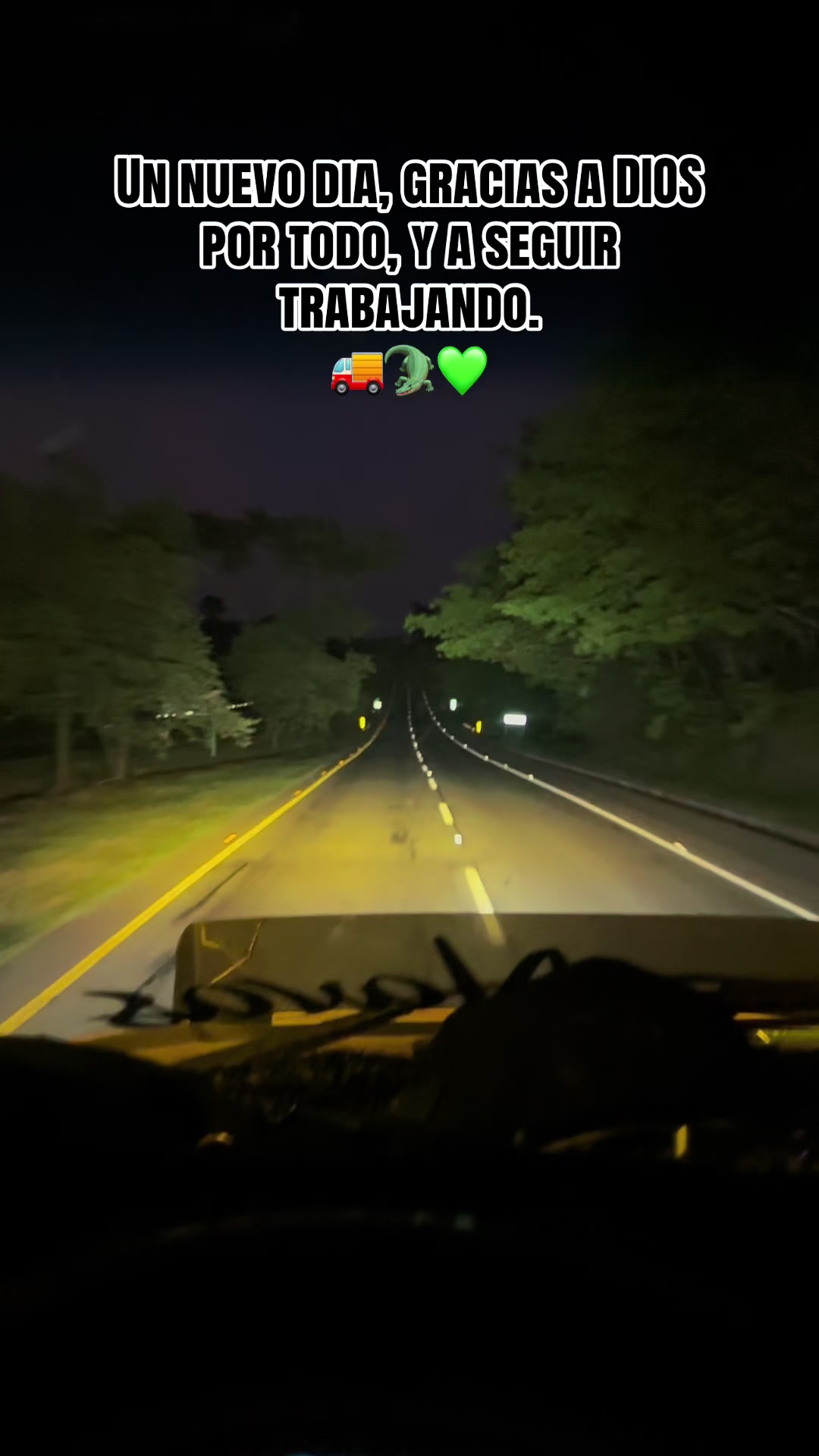 @MaikolNavas783🐊