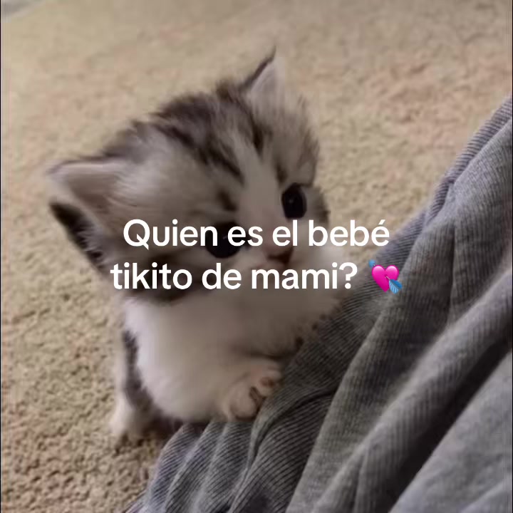 @yramyoliver