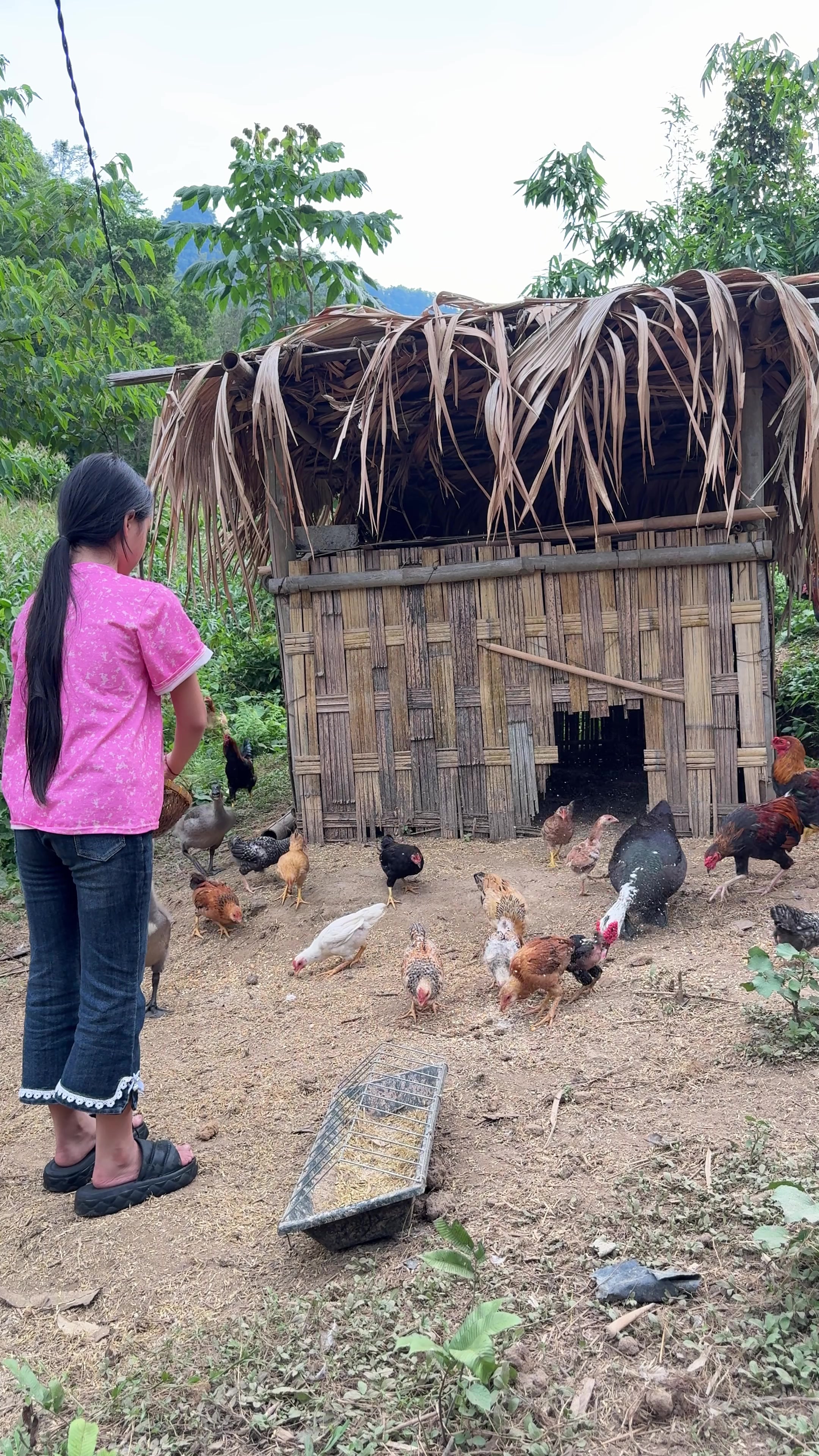 @Sức Tày