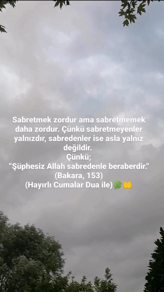 @🦂yldrm🦂