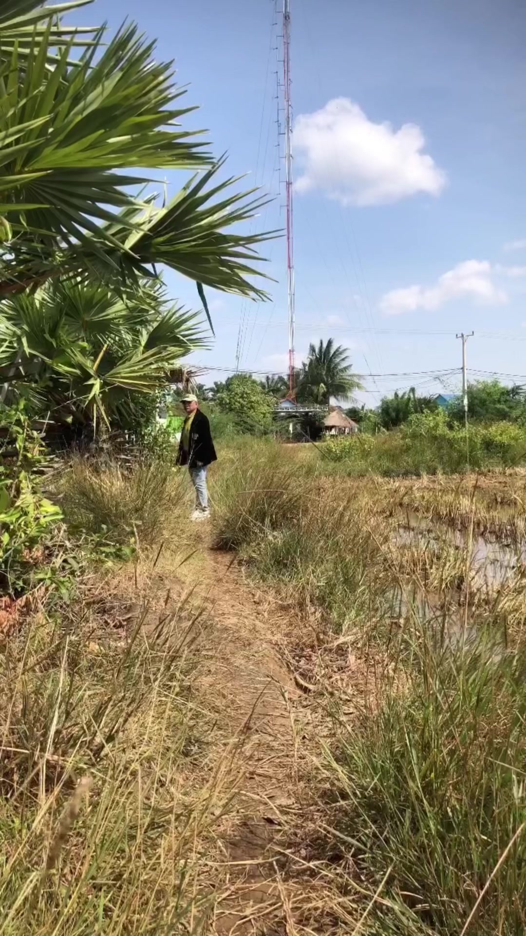 @ឥន្ទ្រីសលំហរវេហារ