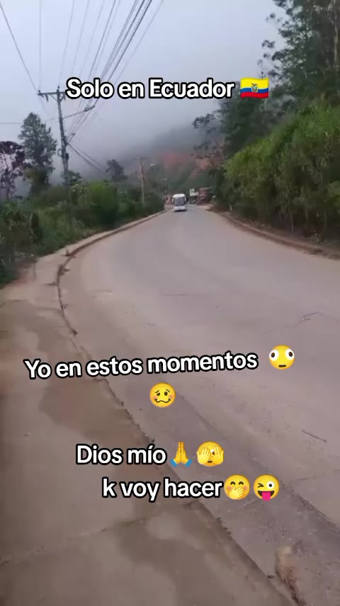 @elizitha