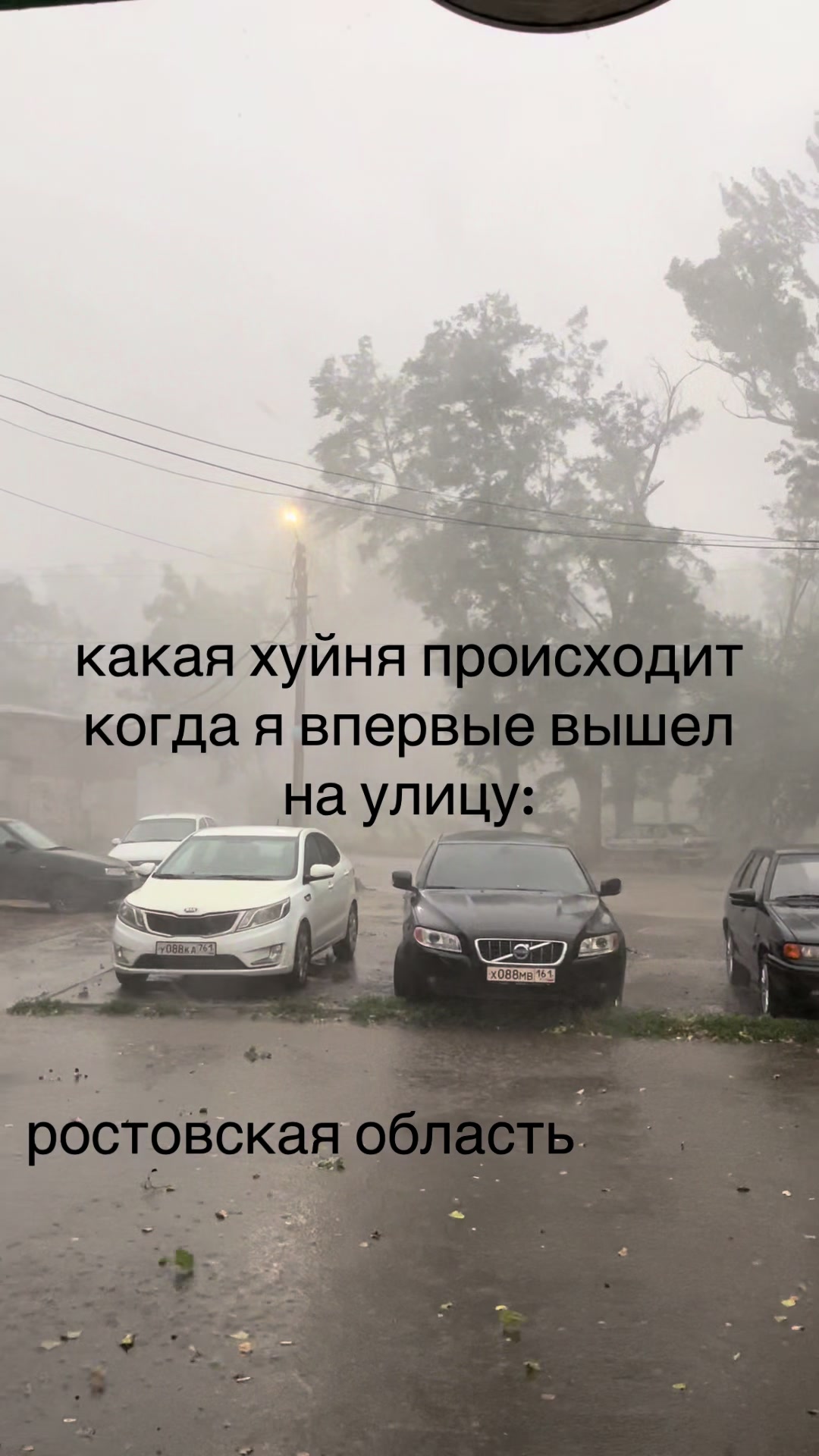 @Ж1В0Й? | #communityreal