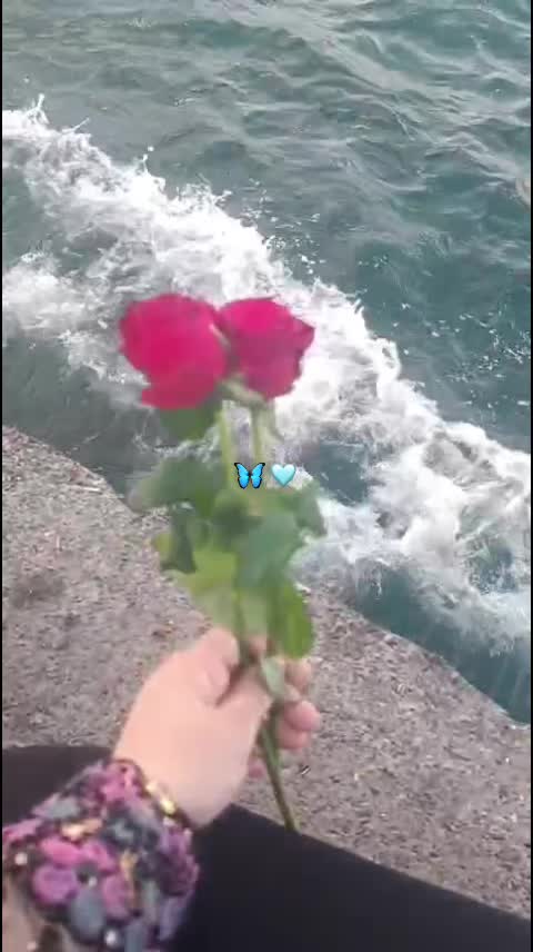 @♯̶الـ حݪۅهههۃة 𝓕🌸