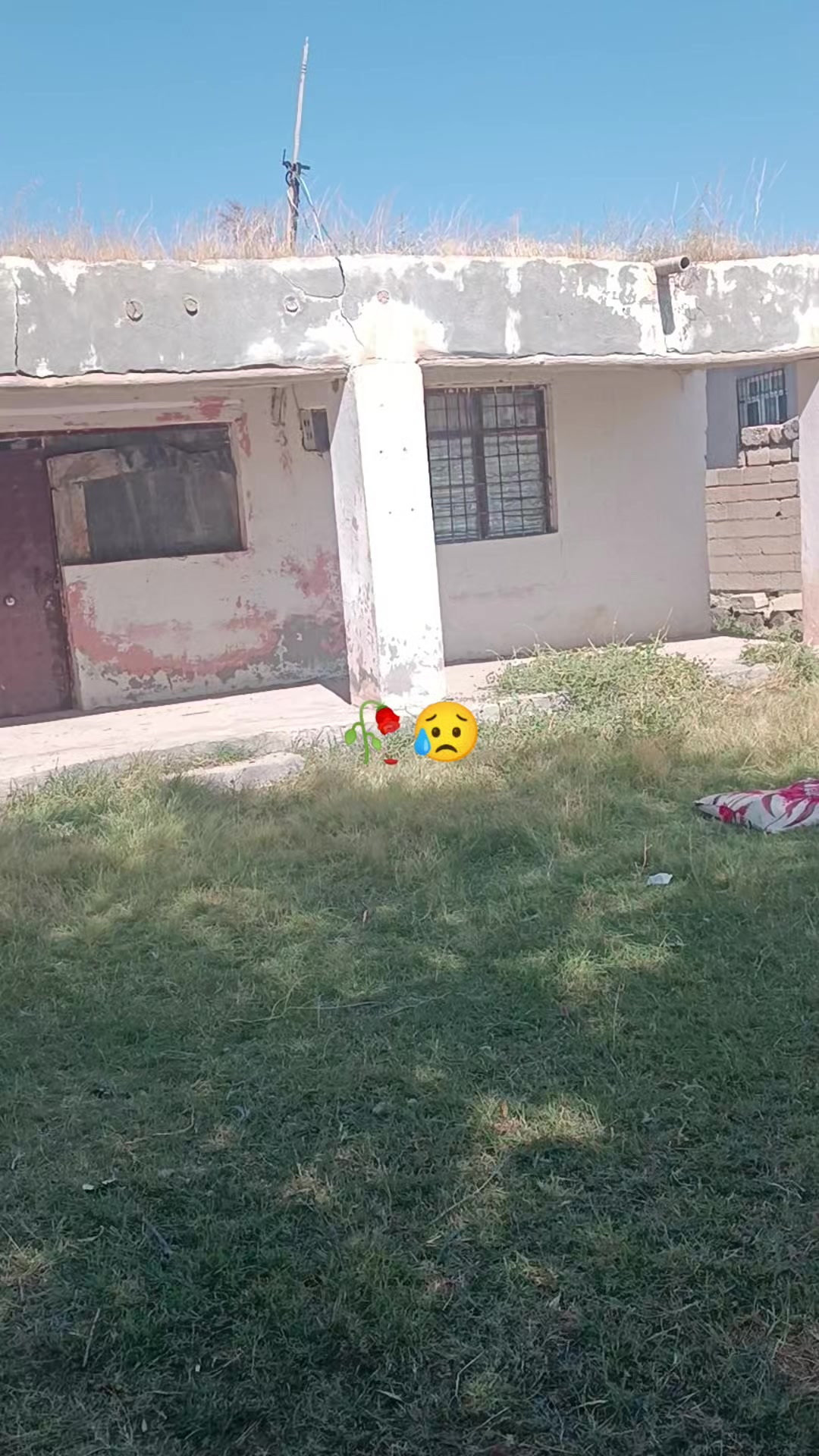 @Gul Yakut563