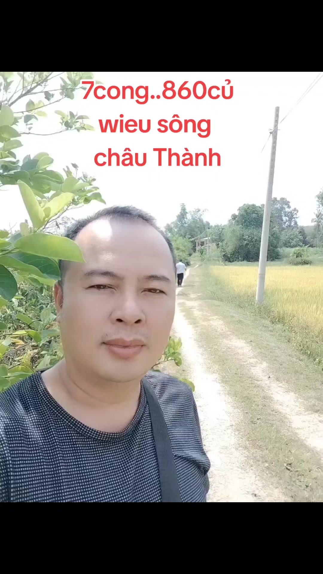 @phú sohs tổng hợp