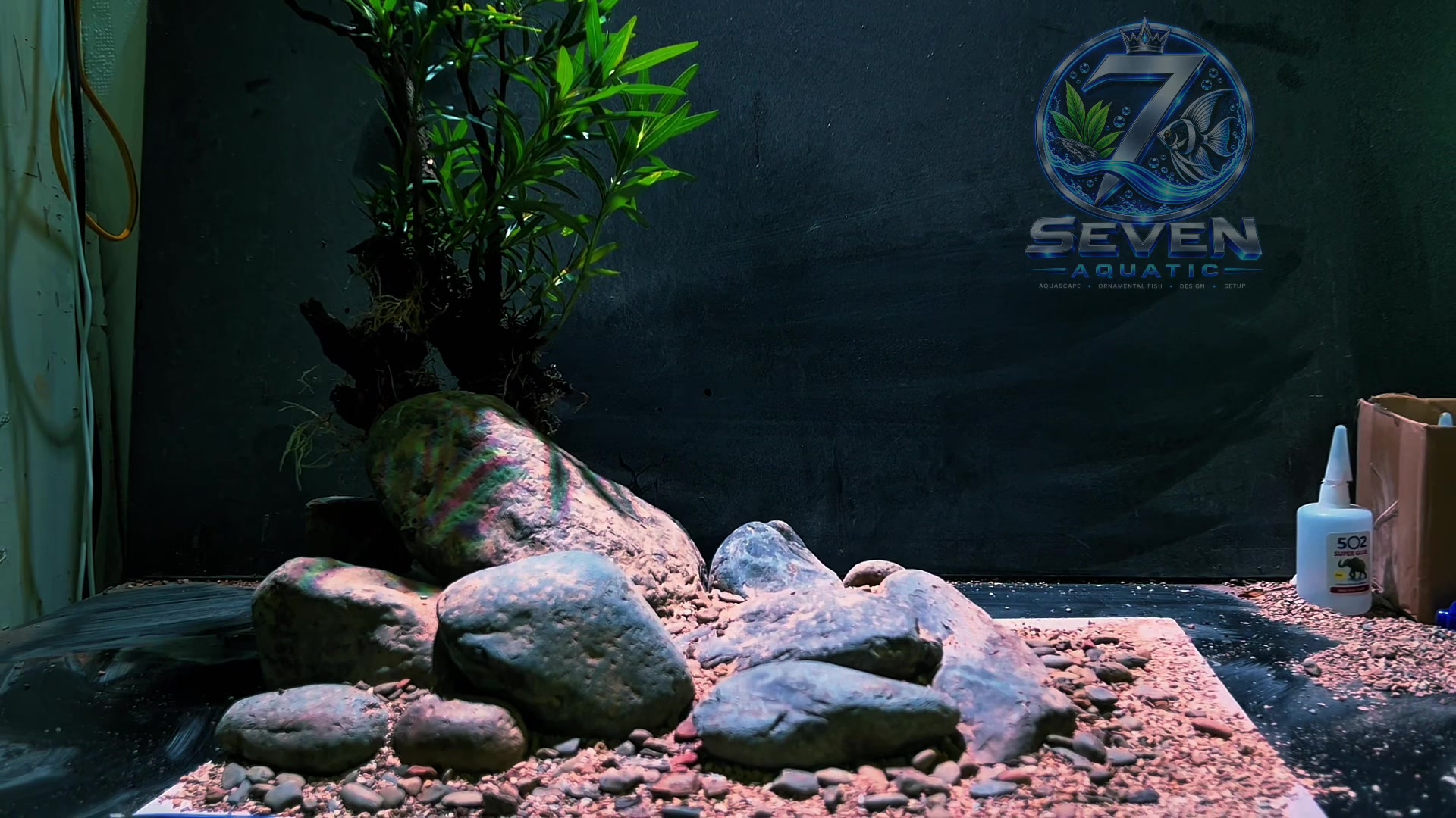 @Layout Biotope Sài Gòn VTV