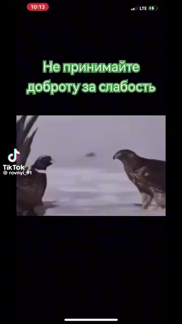 @G&ugrave;nd&ugrave;z D&ugrave;nya