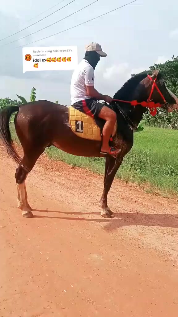 @💢ရှိုင်းလေး💢