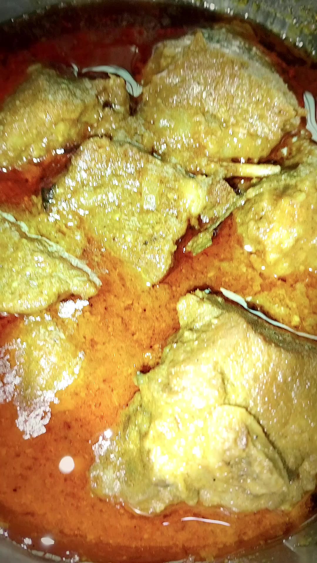 @❤️&zwj;🔥Love 🦅 Birds 2
