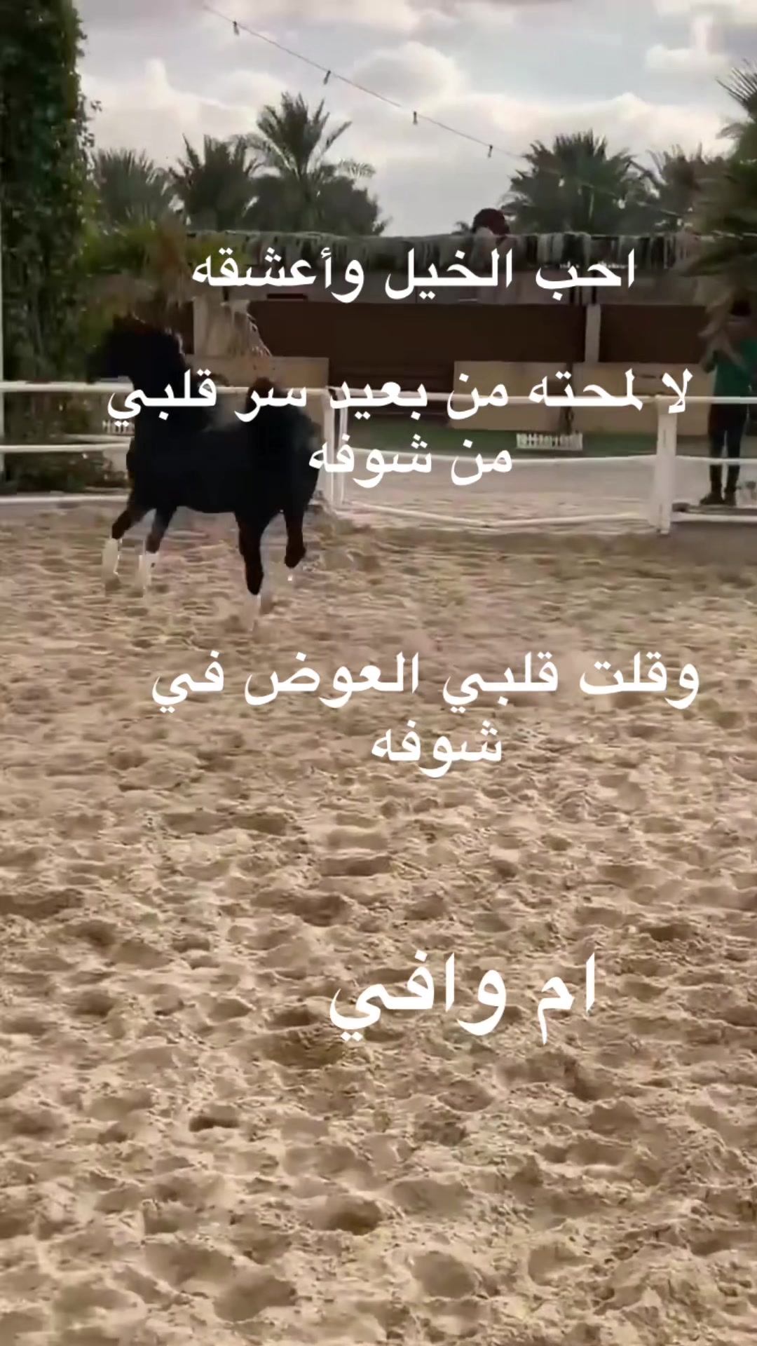 @ام وافي ❤️❤️