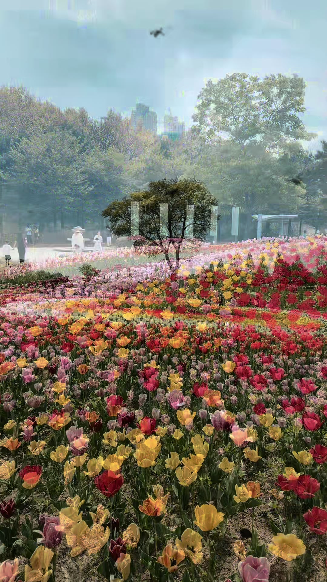 @Sahan hansaka 🇱🇰🇰🇷