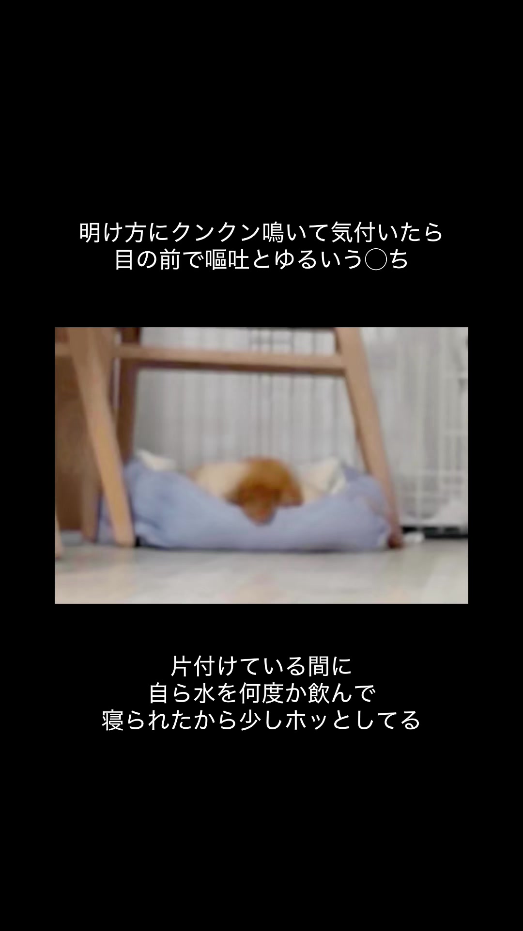 @佐野有美/講演家•四肢欠損ママ
