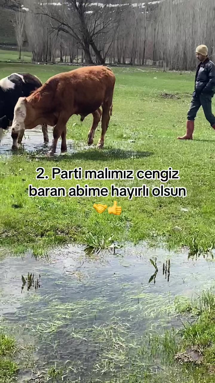 @yusuf yıldırım 04