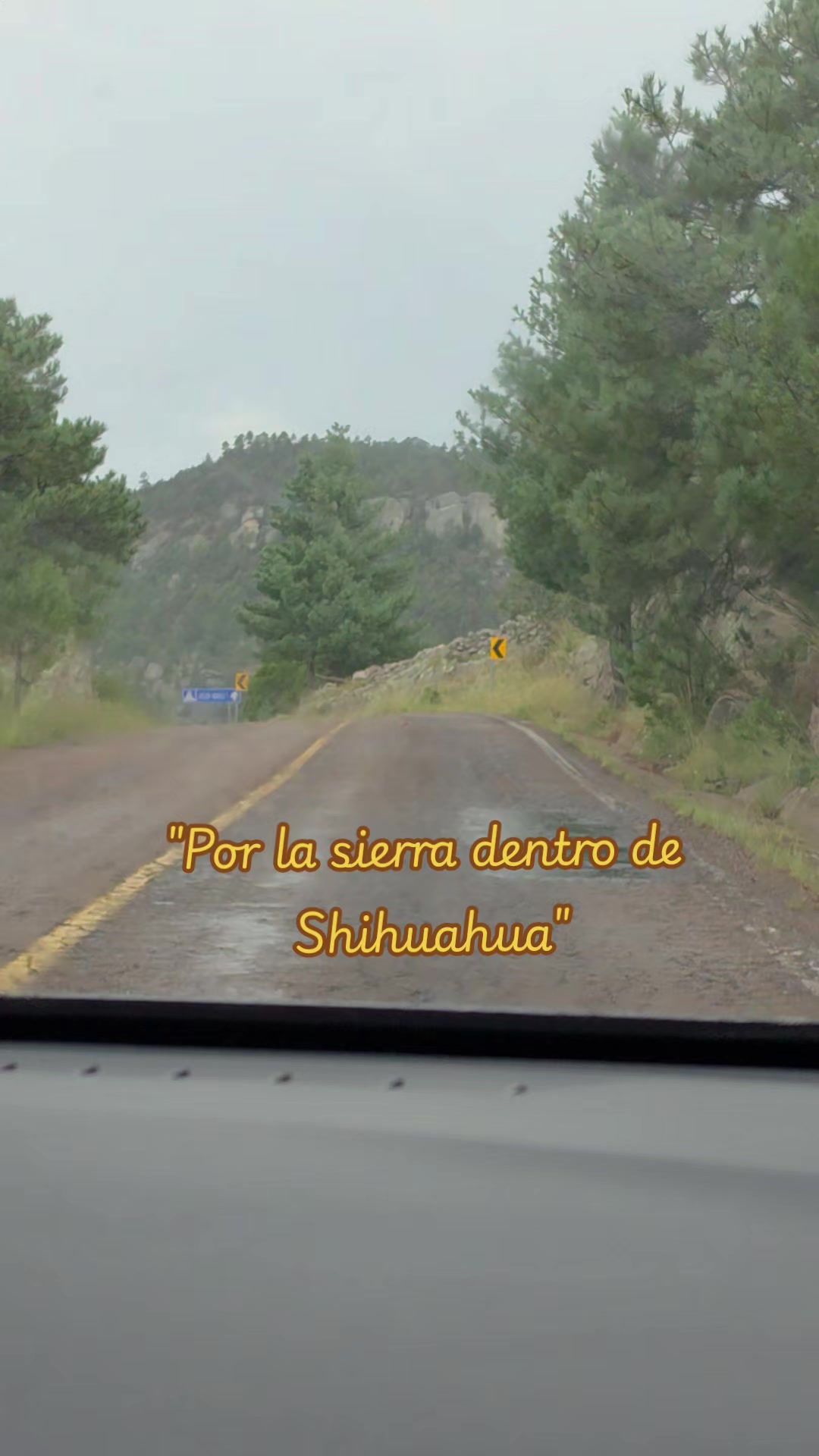@LoReT&bull; Te Sigue