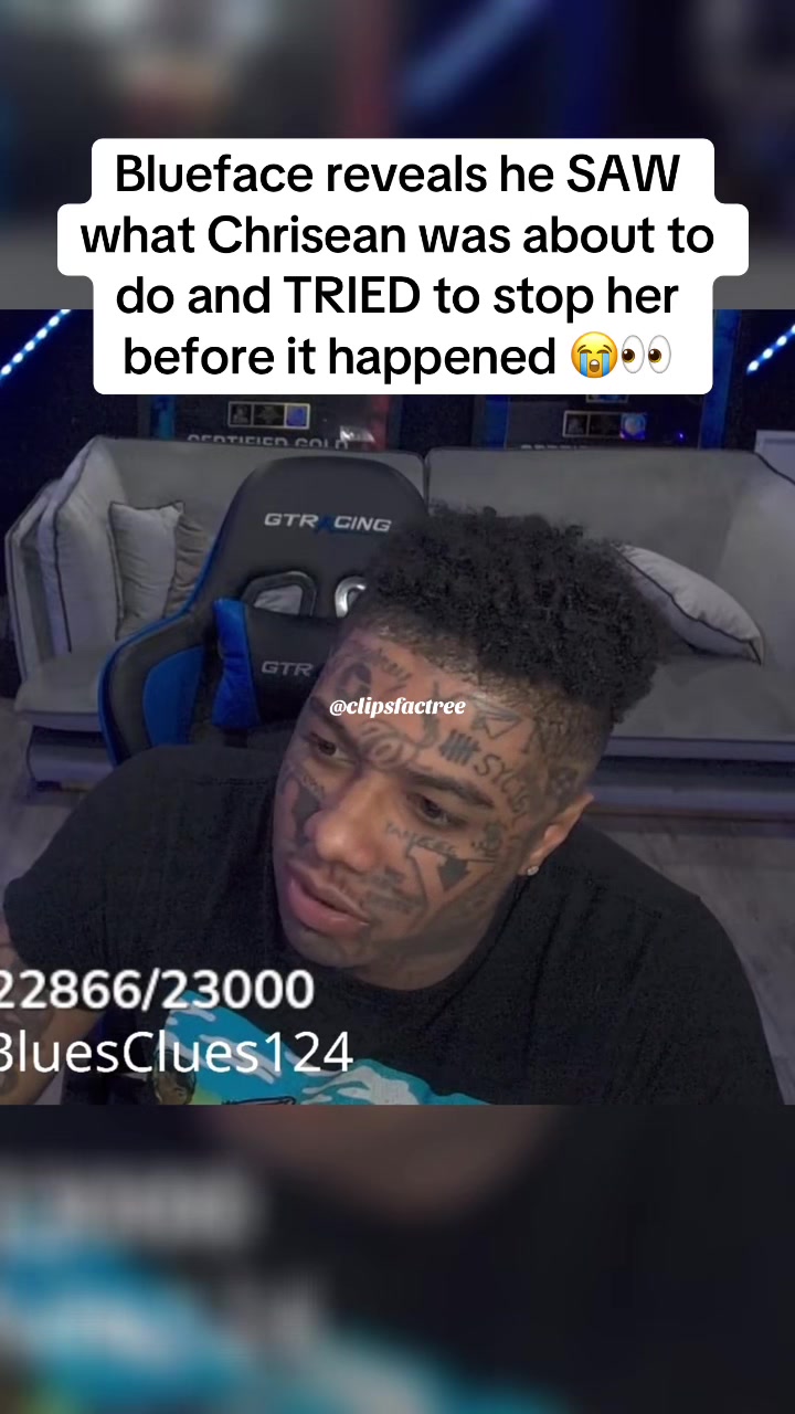 @clipsfactree