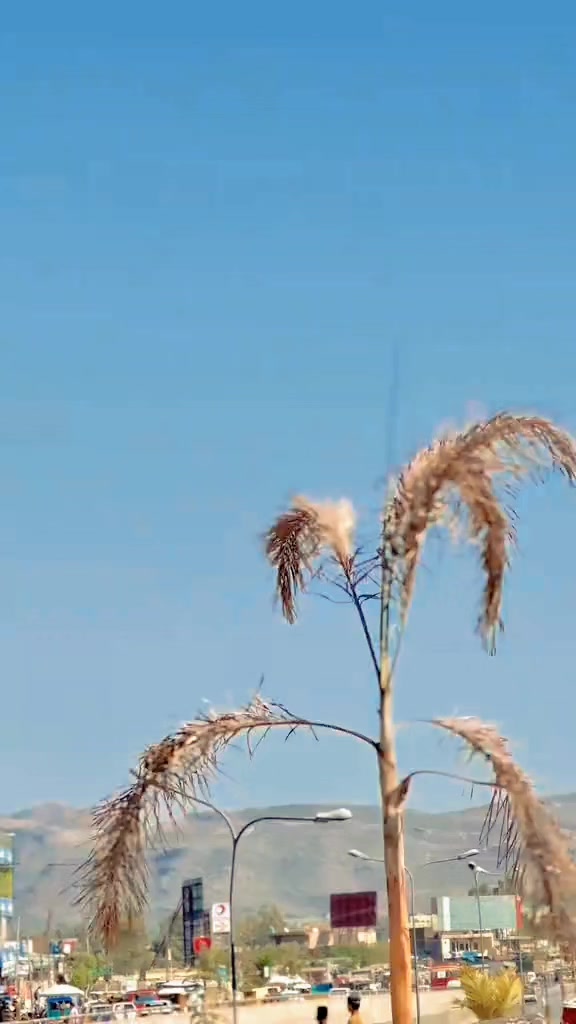 @𝗬𝗮𝗿𝗯𝗮𝘀𝗵 🫂