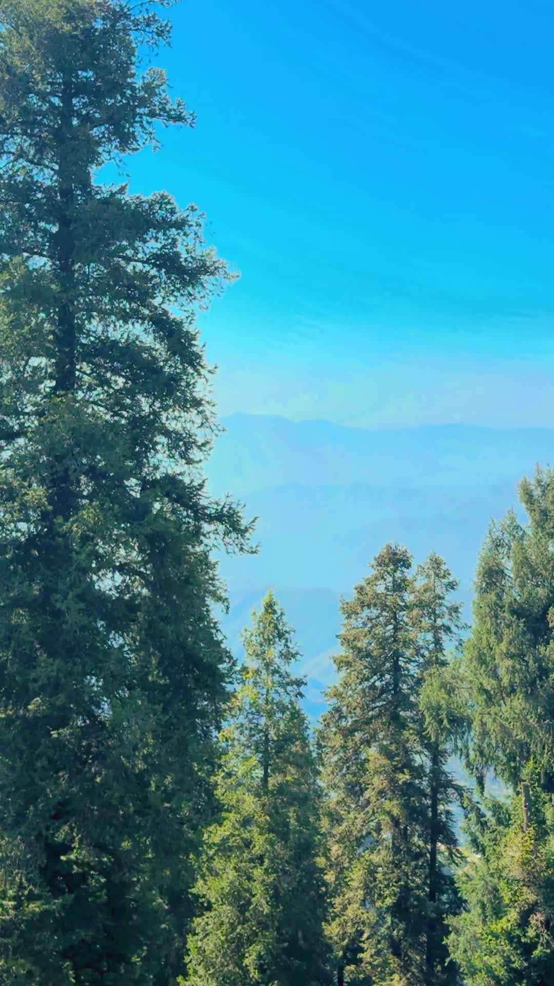@🥀 Farooq_jan 🥀