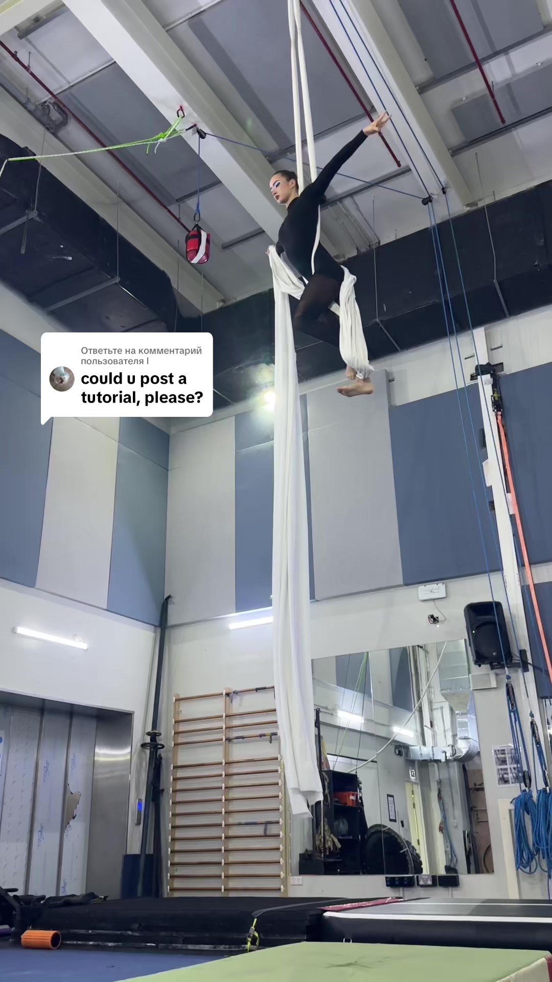 @alla.aerialist_laperle