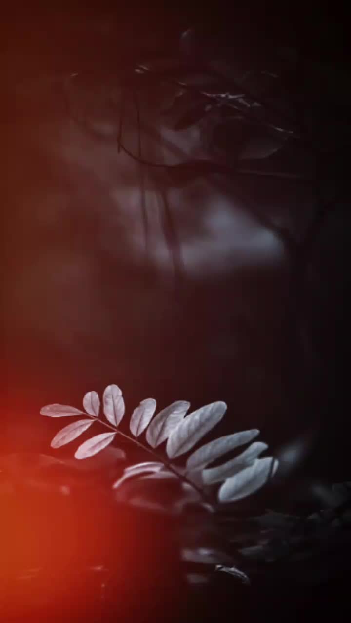 @AisyaRahman🌹