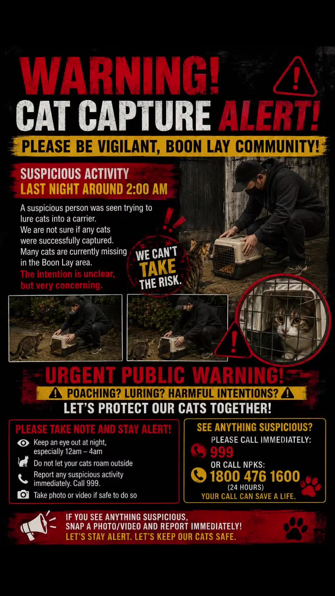 @Rescue Meows 🐈