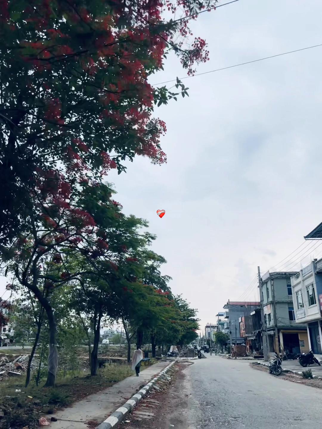 @नबिन 