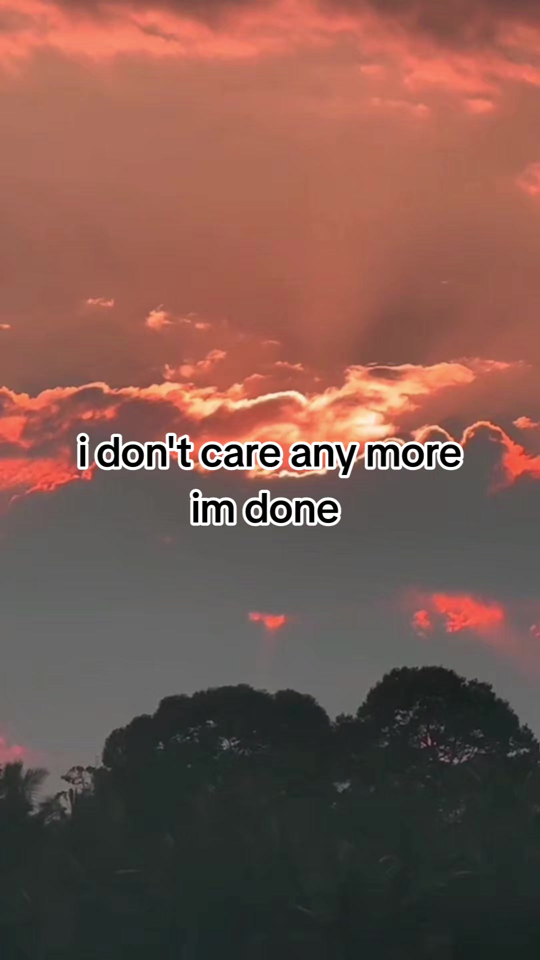 @Hayley curtis
