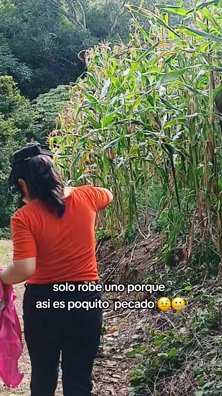 @Isabel chávez