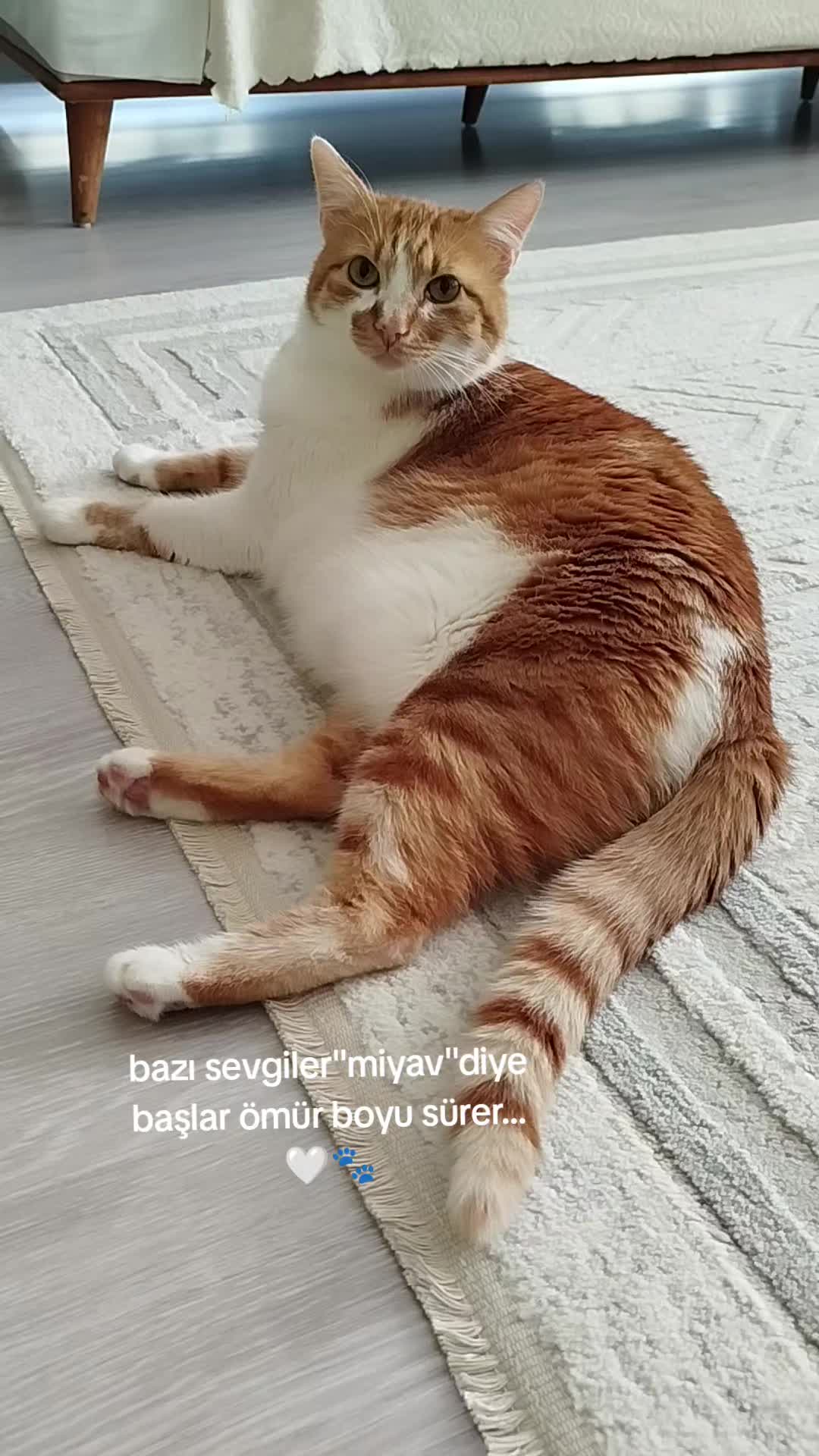 @KAVUN