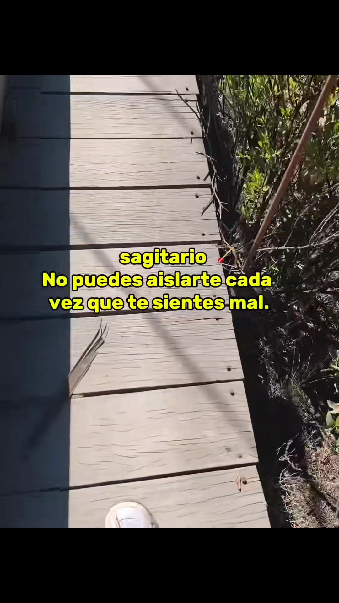 @Isis🌻
