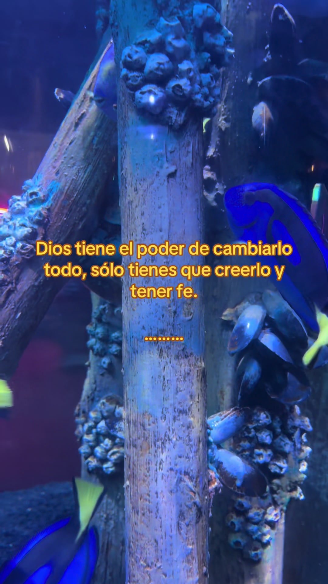 @🦋DianaMV🦋