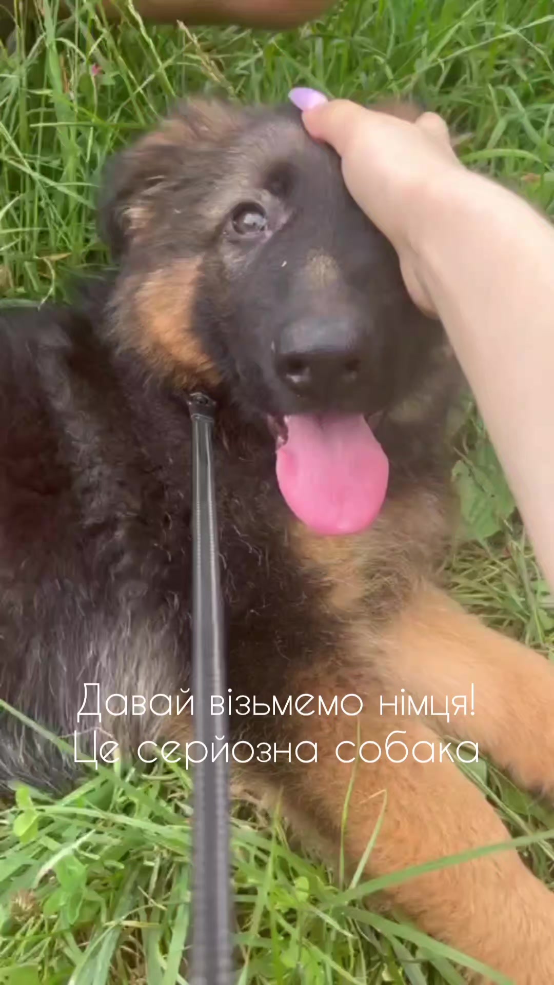 @МАТЬ ДРАКОНІВ🤣