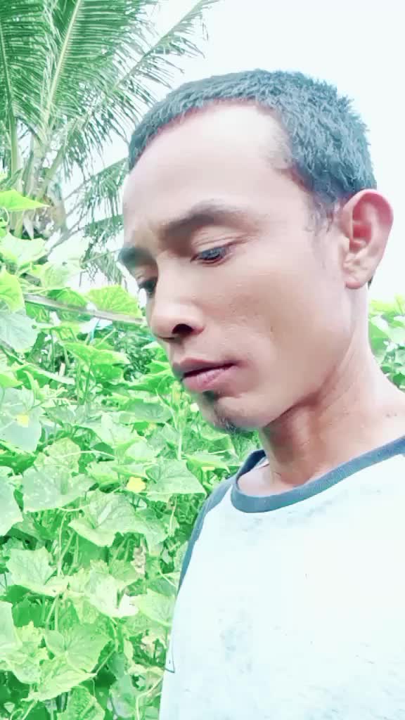 @uYut DarMaga