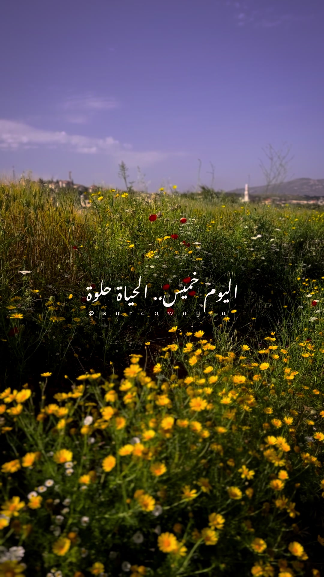 @༊෴✿سہارة✿〄