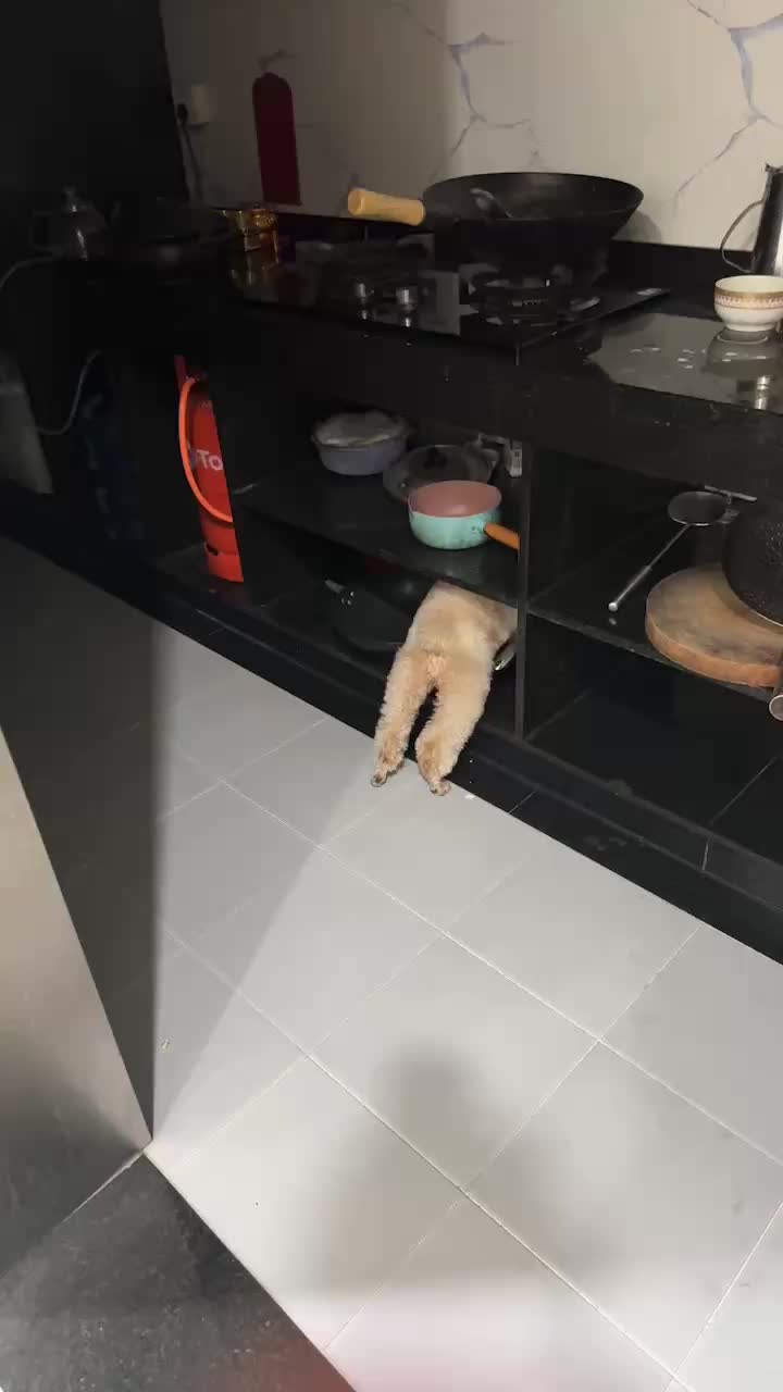 @阿拉