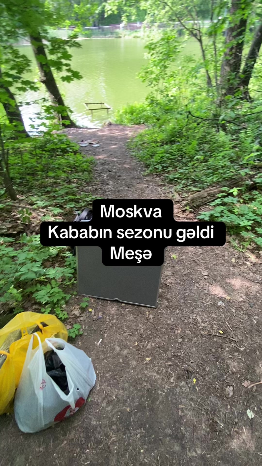 @gagli722