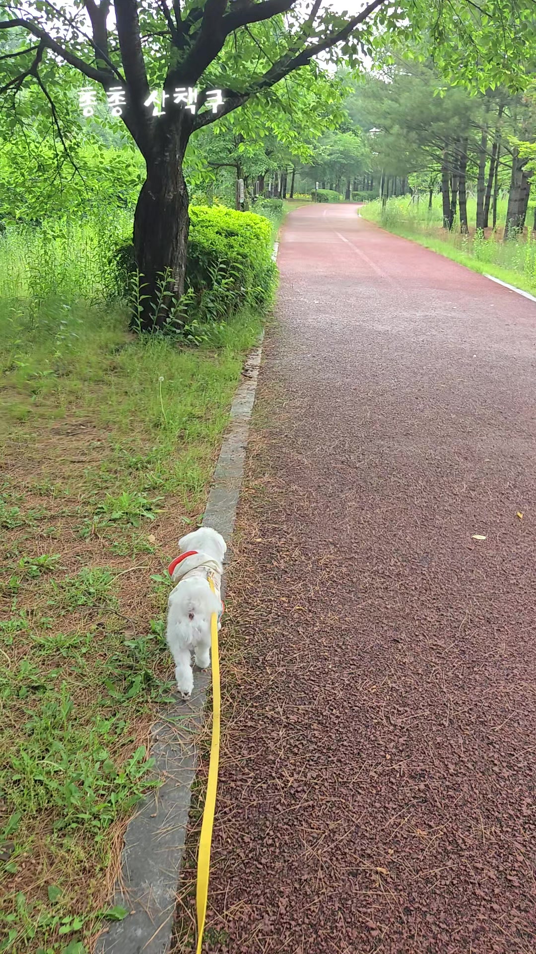 @율님