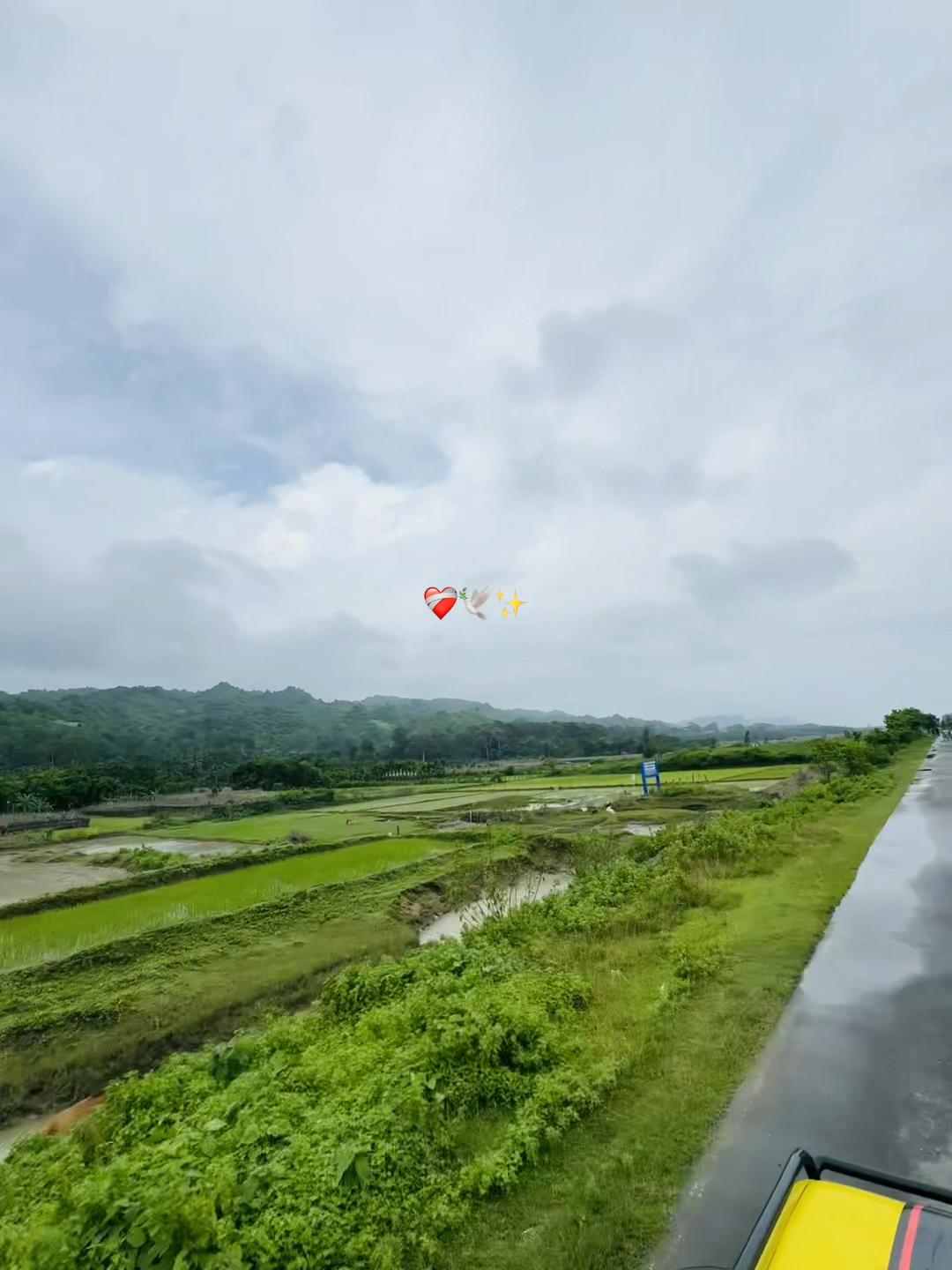 @টিক-টিকি