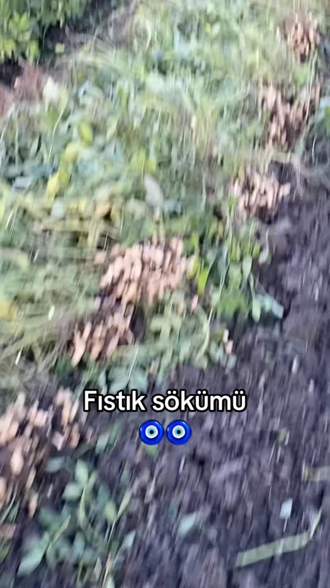 @seydobaskan01