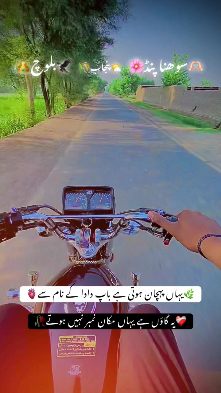 @🌸💫درویش بلوچ💫🌸