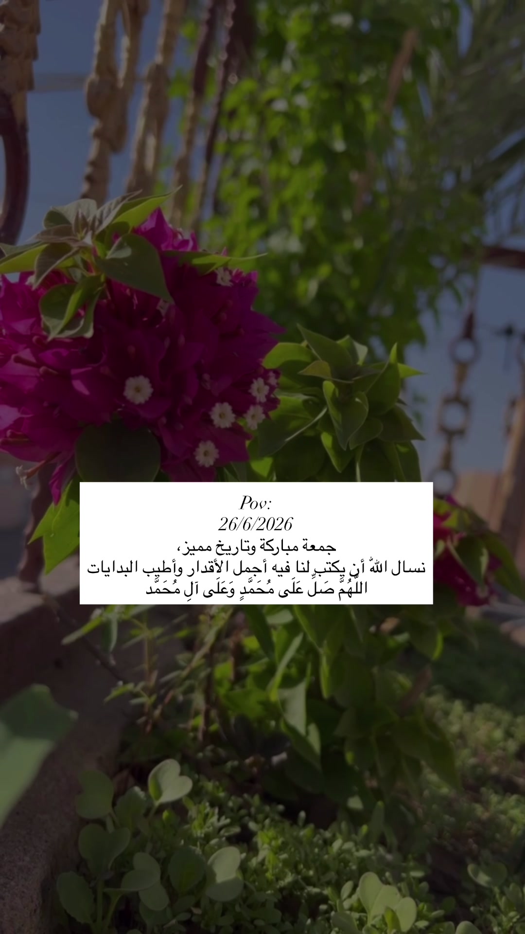 @لحظة الأمل 🫀🤍