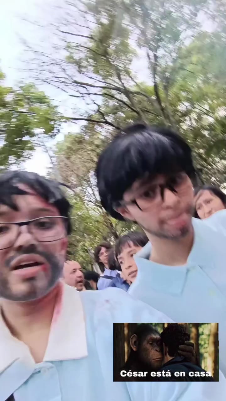 @motas_cuartetera