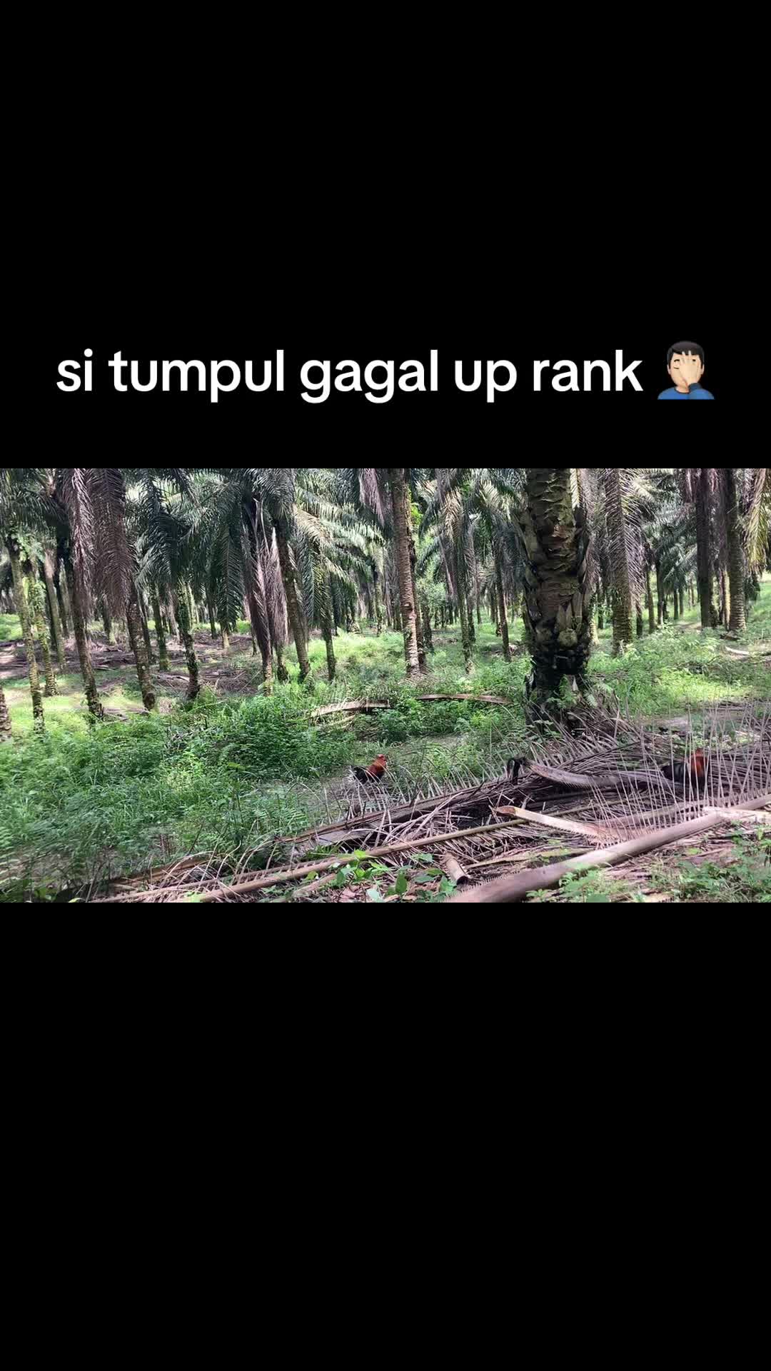 @Acap___