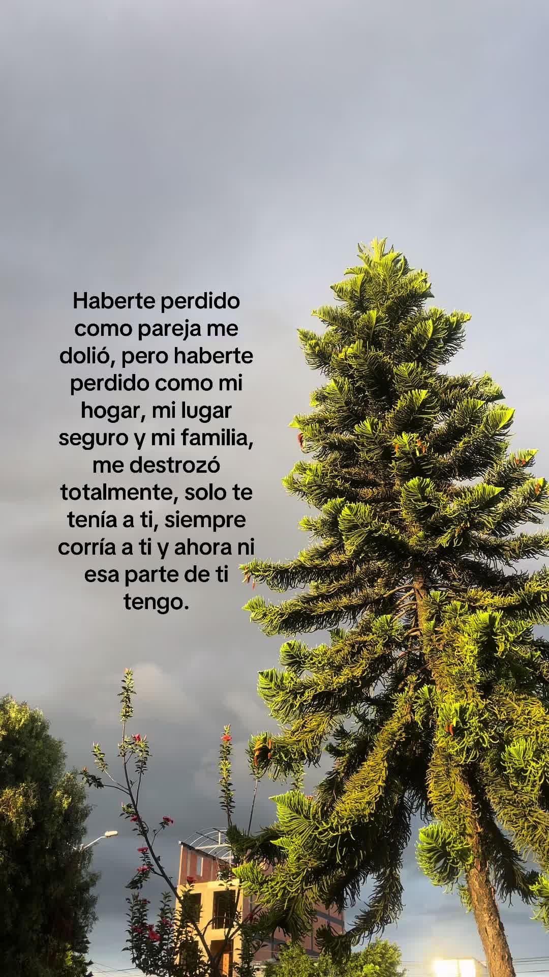 @Jhon^🧃