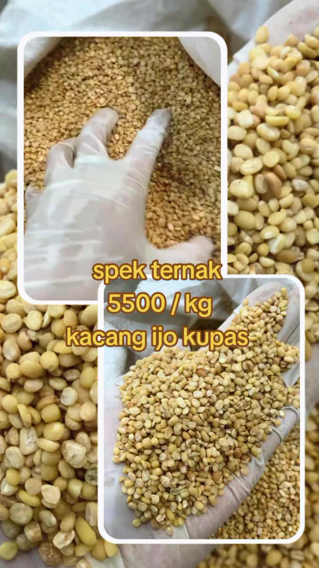 @Arifin
