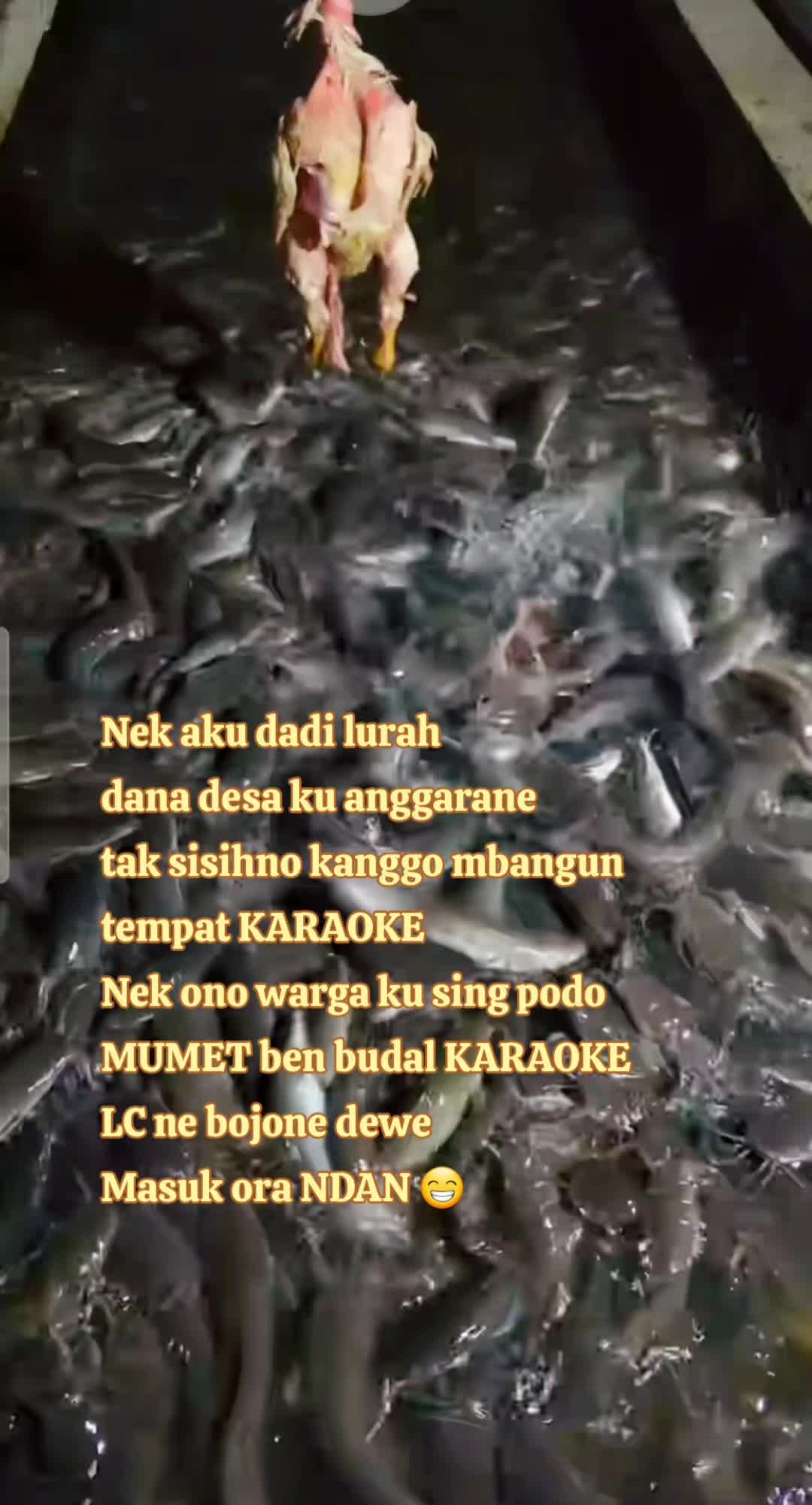 @BOJONE WONG