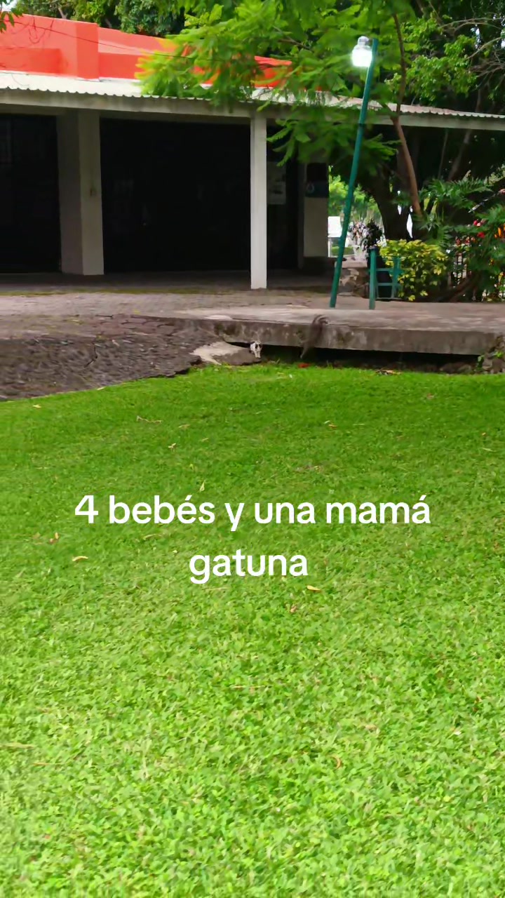 @Joselyn Santos