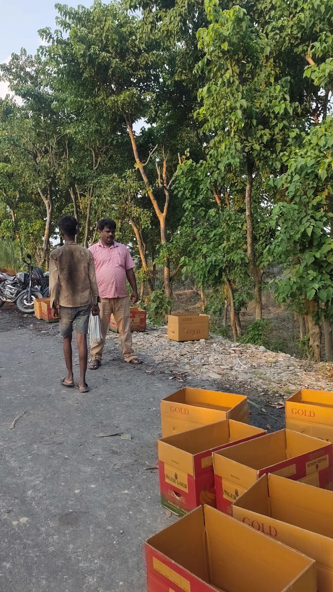 @Akashbaniya🚩