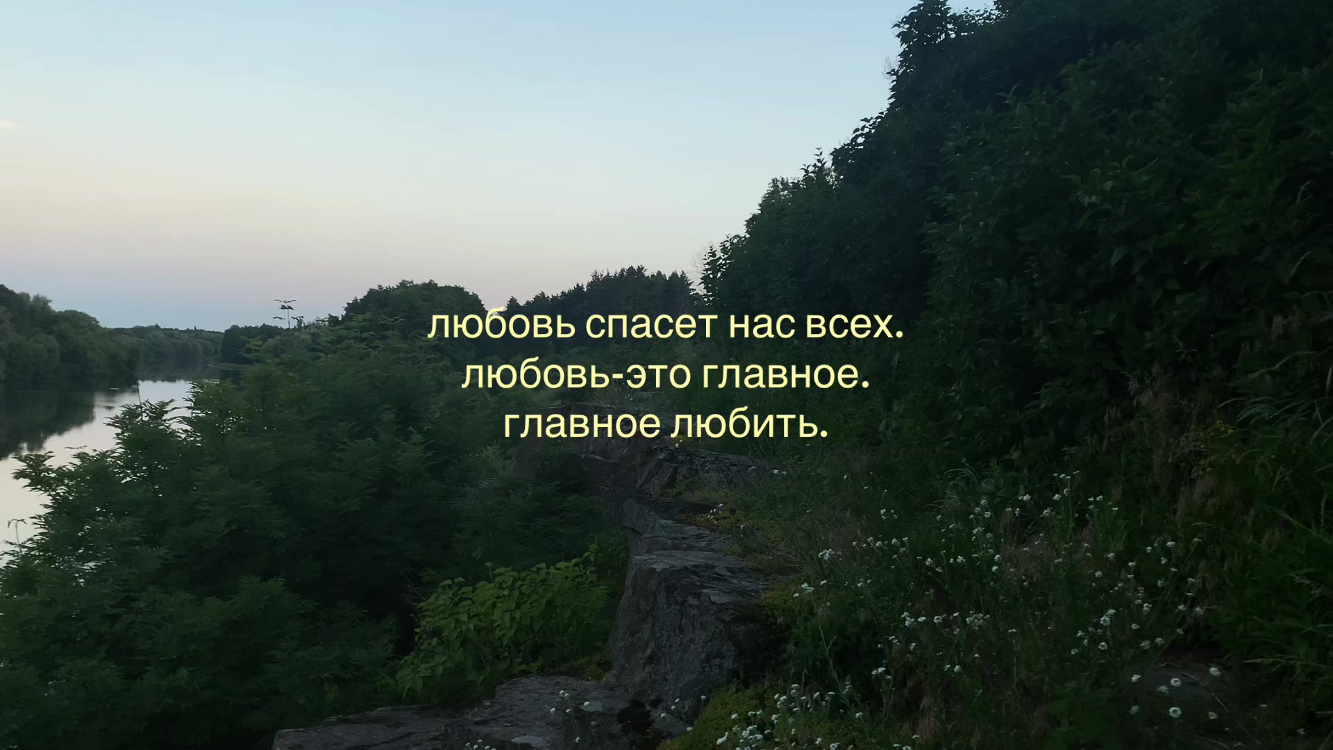 @киса 🐱